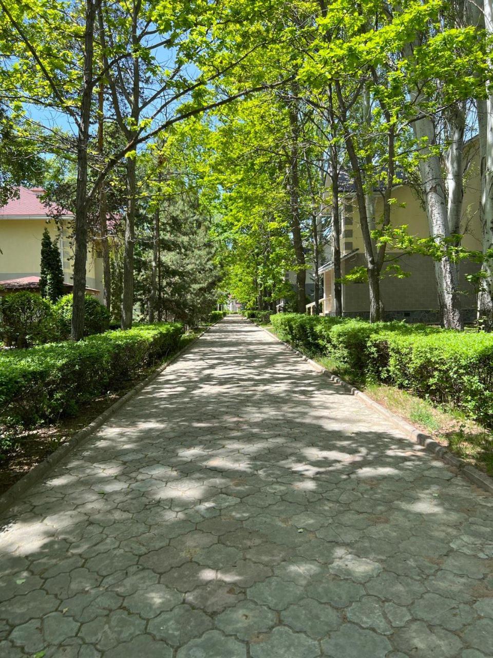 Luxury-Family-Cottage 보스테리 외부 사진
